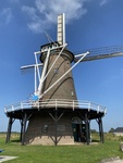IMG_4651.jpg